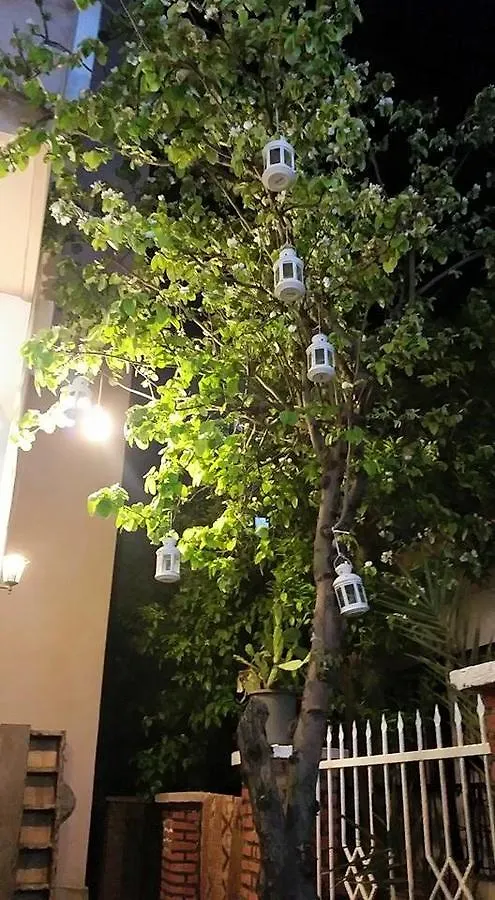 Alis Hotel Kusadası Turkiet